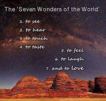 The 'Seven Wonders of the World' to see, to hear, to touch, to taste, to feel, to laugh, and to Love.