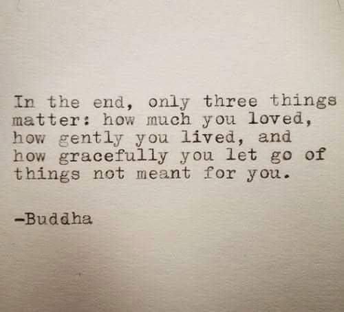 In the end, only three things matter: how much you loved, how gently you lived, and how gracefully you let go of things not meant for you. Buddha